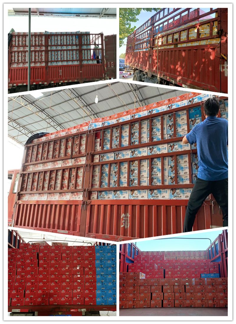 微信图片_20210111084830